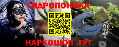 стаф Кулебаки