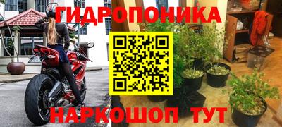 a pvp Кунгур