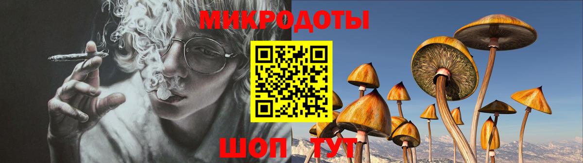 Родники  Псилоцибиновые грибы Psilocybine cubensis  Вход с VPN  Галлюциногенные грибы Cubensis 