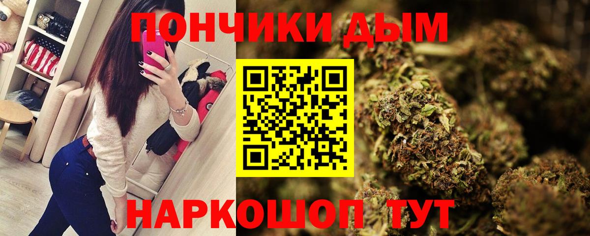 Марихуана сатива Родники